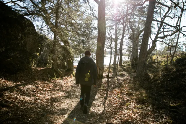 Man i skog. Foto: Moa Alexandersson, Unsplash.