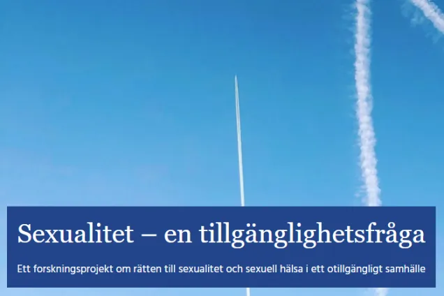 Skärmdump. Bloggen Sexualitet - en tillgänglighetsfråga